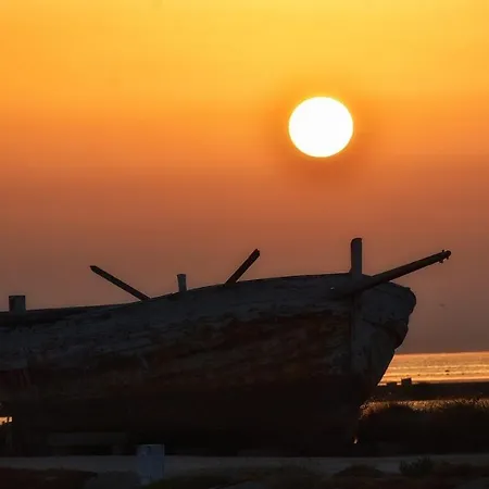 Silvana * 트라파니